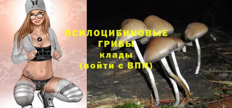 Галлюциногенные грибы MAGIC MUSHROOMS Кострома